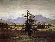 Caspar David Friedrich The Lone Tree oil on canvas